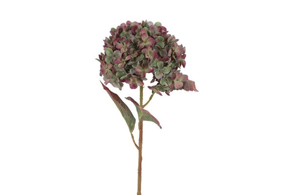 Hortensia grøn/lilla h 70 cm
