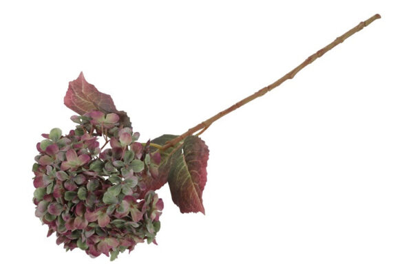 Hortensia grøn/lilla h 40 cm - Image 2