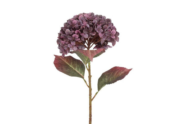 Hortensia lilla h 70 cm