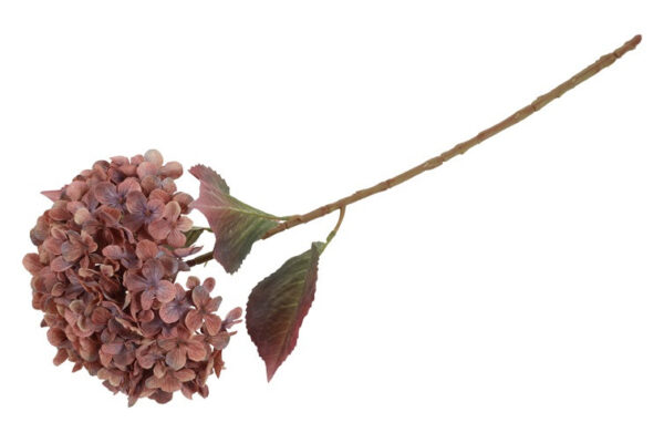 Hortensia copper h 70 cm - Image 2