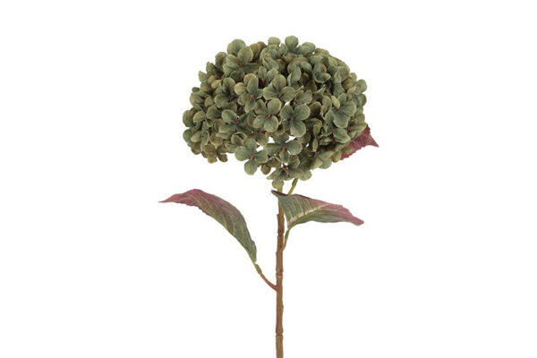 Hortensia grøn h 70 cm