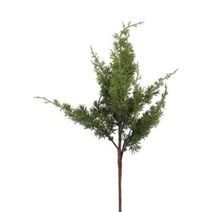 Cypres grøn h 81 cm