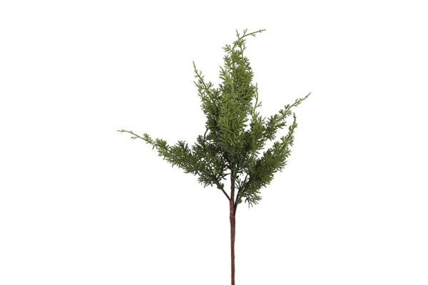 Cypres grøn h 81 cm