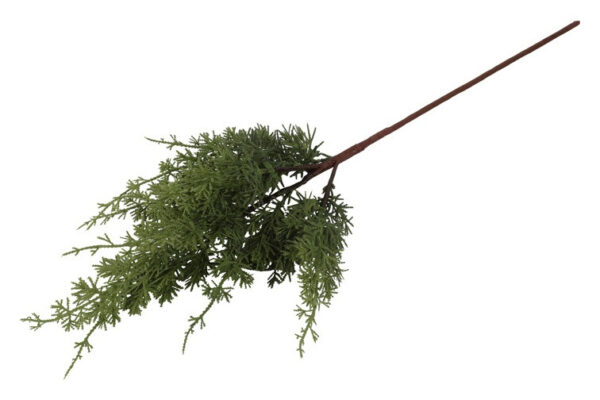 Cypres grøn h 81 cm - Billede 2