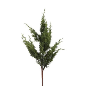 Cypres grøn h 88 cm