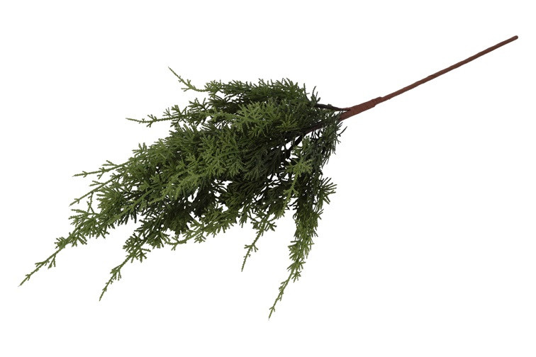 Cypres grøn h 88 cm - Billede 2