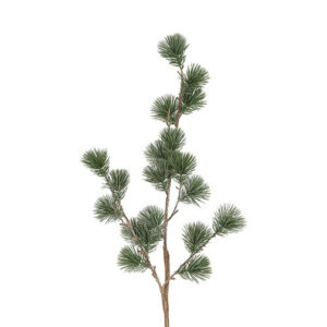 Ceder gran støvet grå h 78 cm