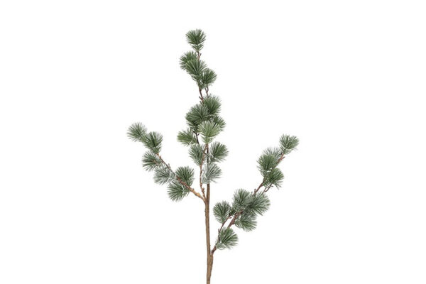Ceder gran støvet grå h 106 cm