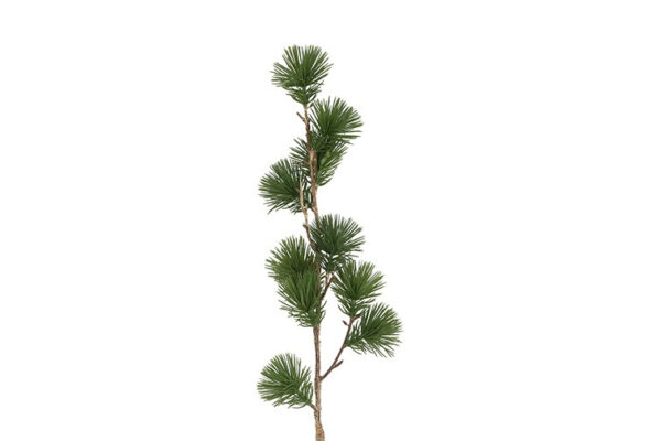 Ceder gran grøn h 63 cm