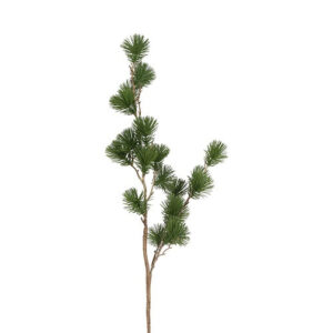 Ceder gran grøn h 78 cm