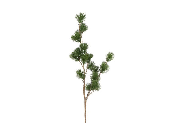 Ceder gran grøn h 78 cm