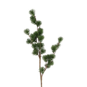 Ceder gran grøn h 106 cm