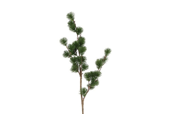 Ceder gran grøn h 106 cm