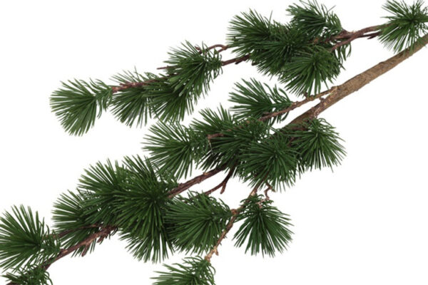 Ceder gran grøn h 106 cm - Billede 2