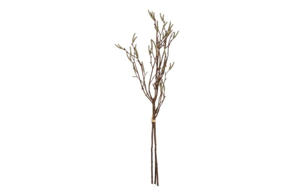 salix grøn bund a 3stk 56 cm