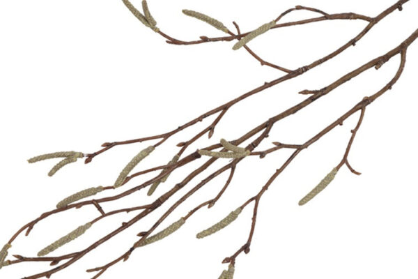 salix  gren grøn h 75 cm - Billede 2