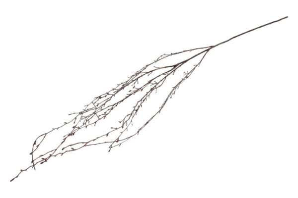Gren brun hænge l 132 cm - Image 2