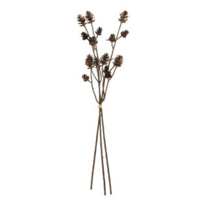 Kogle gren bund a 3 h 64 cm