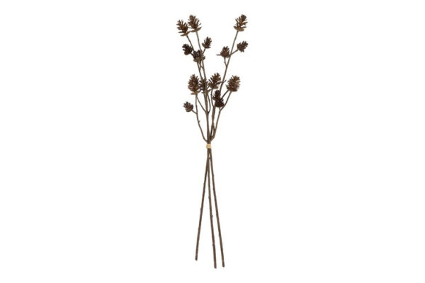 Kogle gren bund a 3 h 64 cm