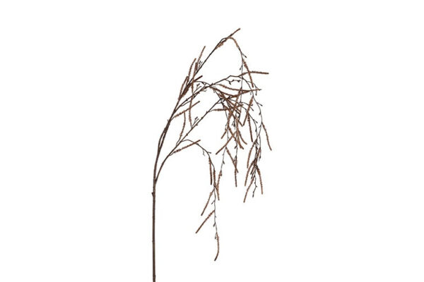 Hænge salix brun l 132 cm