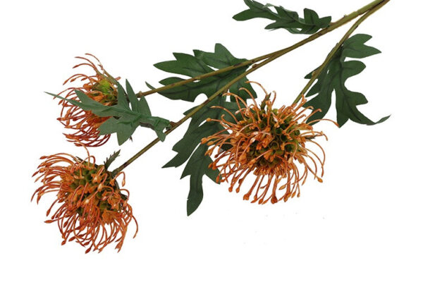 Protea orange h 71 cm - Image 2