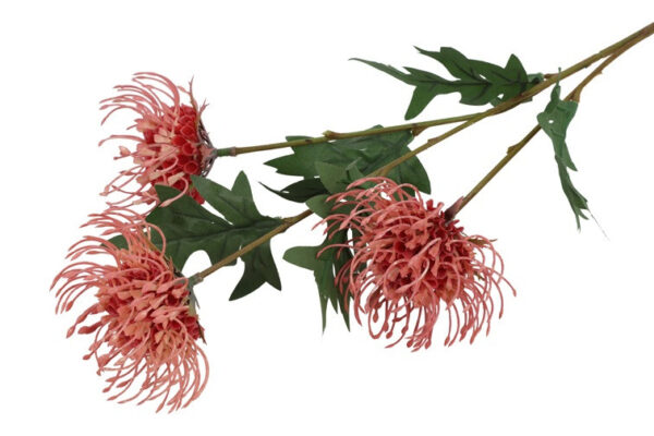 Protea peach h 71 cm - Image 2
