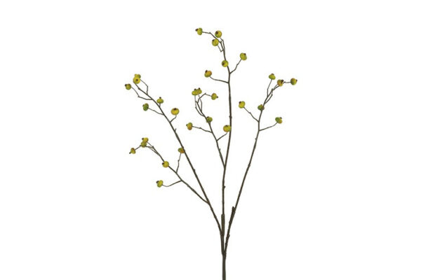 Bærgren grøn h 82 cm