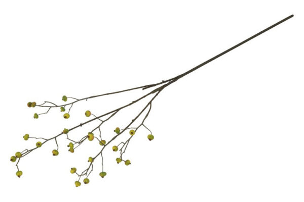 Bærgren grøn h 82 cm - Image 2