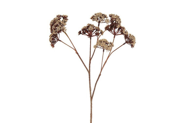 Eupatorium beige h 57 cm
