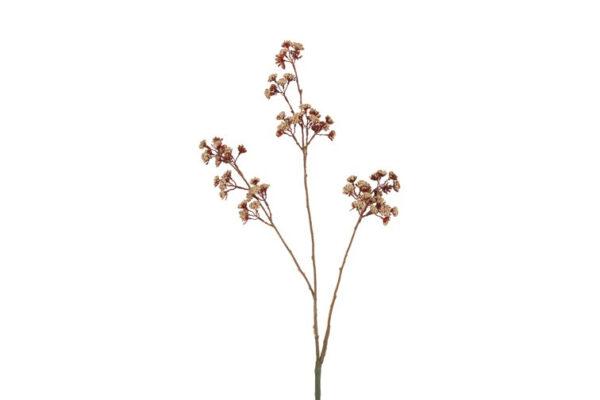 Eupatorium beige h 81 cm