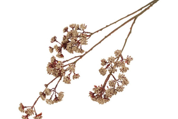 Eupatorium beige h 81 cm - Image 2