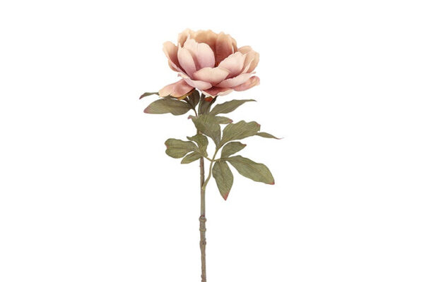 Peony sart rosa h 56 cm