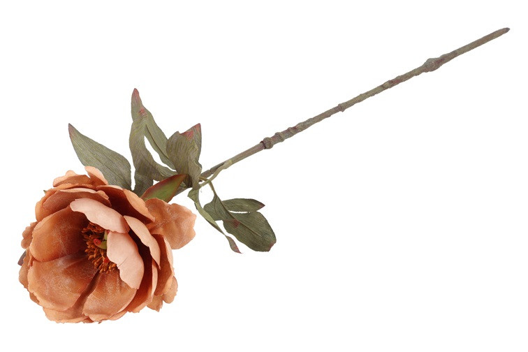 Peony kamel h 56 cm - Billede 2