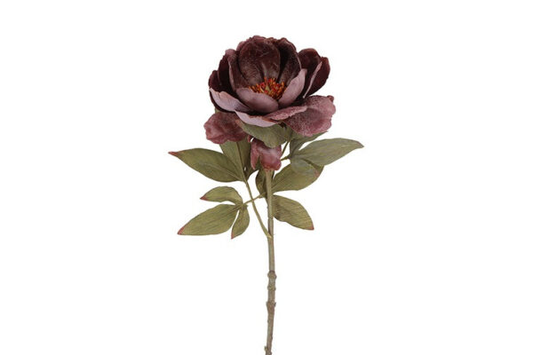 Peony purple h 56 cm