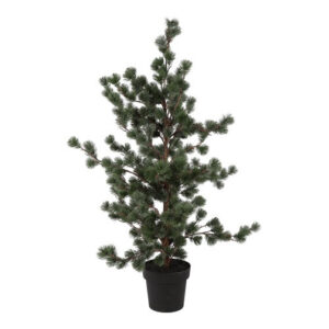 Ceder træ støvet grå i potte h 119 cm