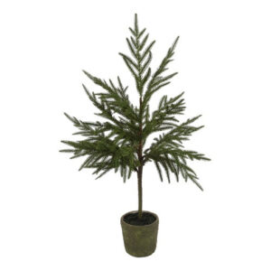 Juletræ opstammet i potte h 74 cm
