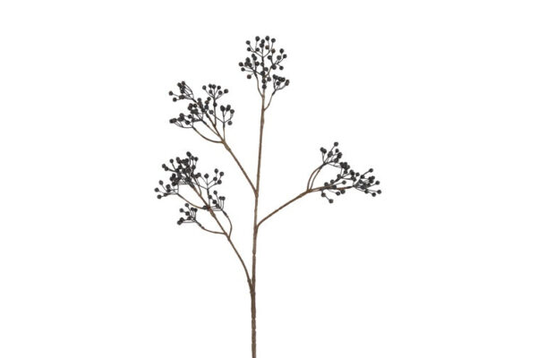 Ilex bærgren mørk blå h 77 cm