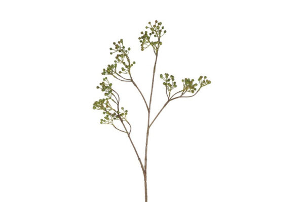 Ilex bærgren grøn h 77 cm
