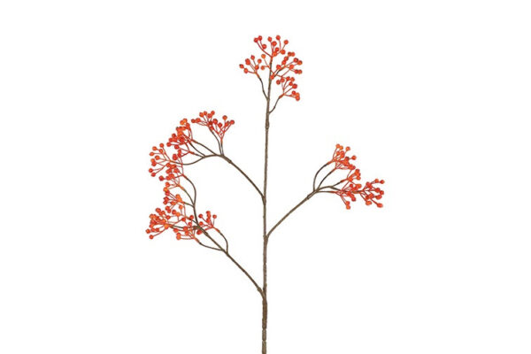 Ilex bærgren orange h 77 cm