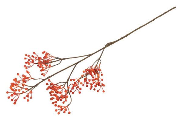 Ilex bærgren orange h 77 cm - Image 2