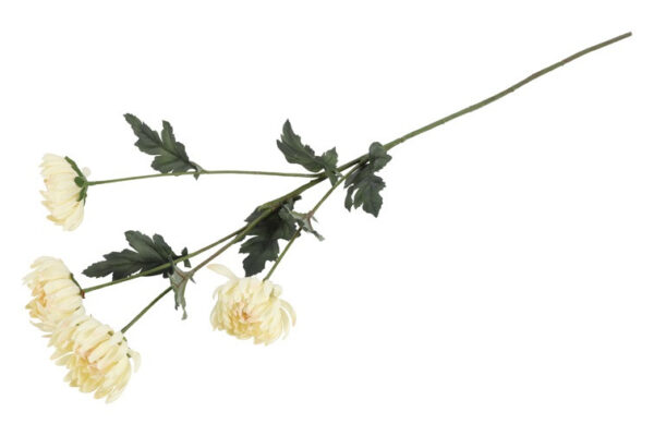 Chrysanthemum creme h 83 cm - Image 2