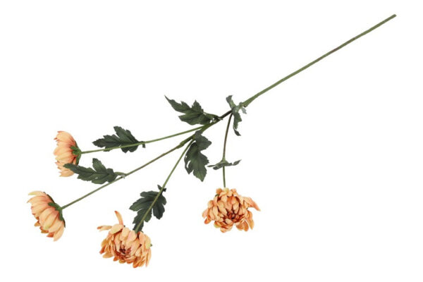 Chrysanthemum karmel h 83 cm - Image 2