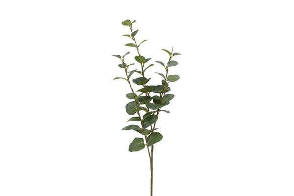 Eucalyptus grøn h 74 cm