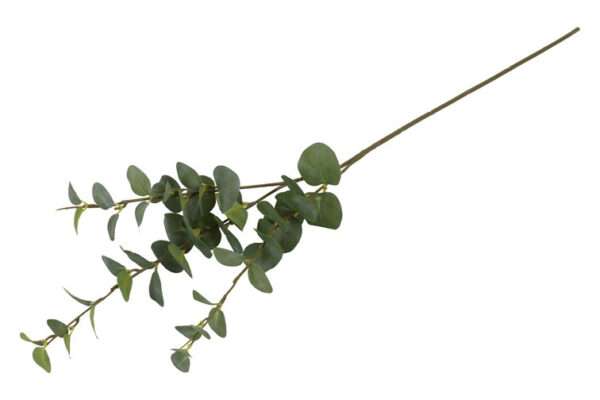 Eucalyptus grøn h 74 cm - Image 2