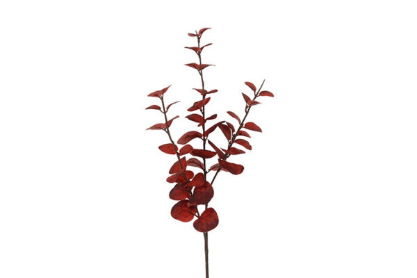 Eucalyptus bordeaux h 74 cm