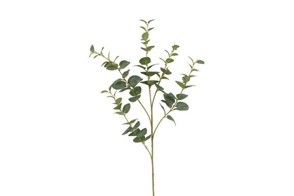 Eucalyptus grøn h 94 cm