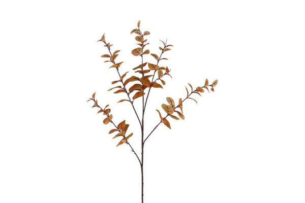 Eucalyptus brun h 94 cm