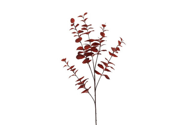 Eucalyptus bordeaux h 94 cm