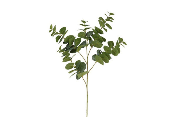 Eucalyptus grøn h 94 cm