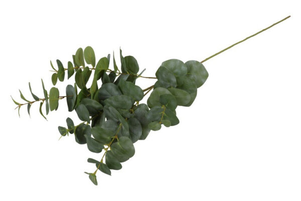 Eucalyptus grøn h 94 cm - Image 2